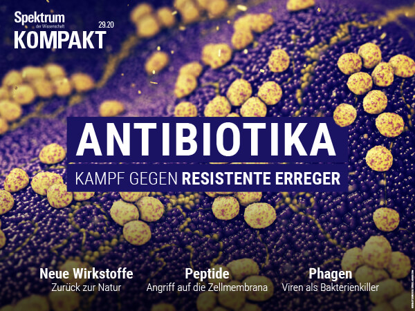 Antibiotika – Kampf gegen resistente Erreger – Spektrum der Wissenschaft Kompakt – Hörbuch