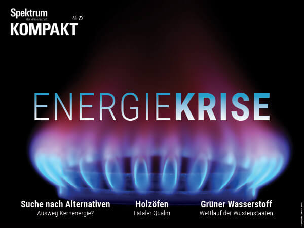 Energiekrise – Spektrum Kompakt – Hörbuch
