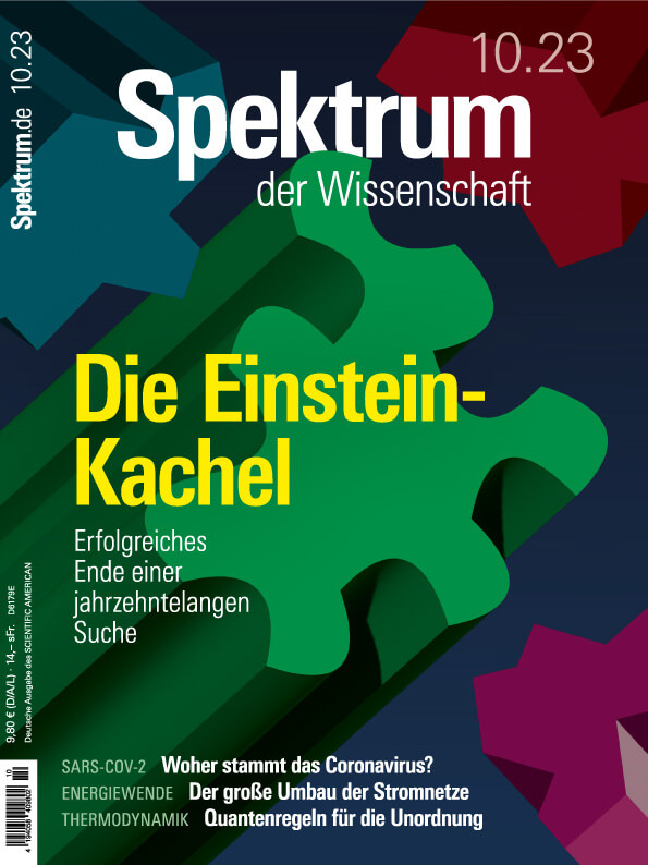 Die Einstein-Kachel – erfolgreiches Ende einer jahrzehntelangen Suche | Spektrum der Wissenschaft 2023 10 | Hörbuch