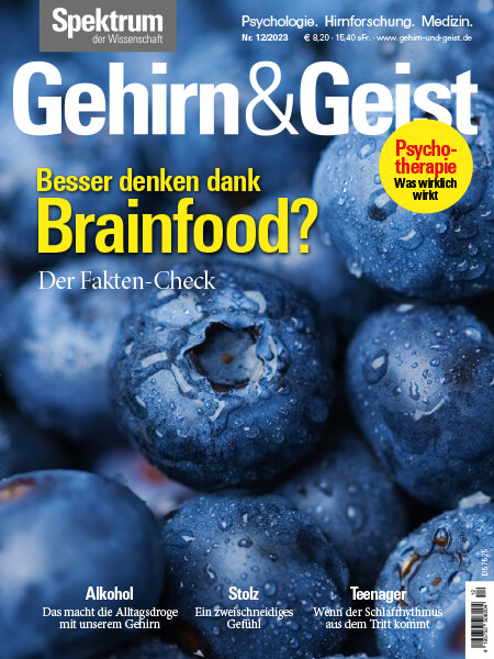 Besser denken dank Brainfood? – Der Fakten-Check | Gehirn&Geist | Hörbuch