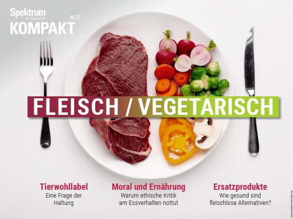 Fleisch vs. vegetarisch. Hörbuch.